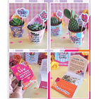 Kit Digital Dia das Mães em Png 3