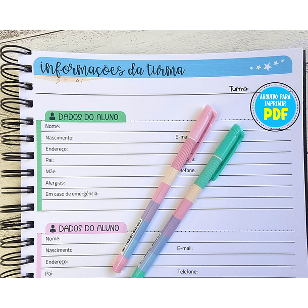 Arquivo Caderno de Registros de Aula Professores em Pdf  6