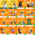 100 Artes Mídias Sociais Pet Shop Editáveis Corel Draw 3