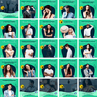 Pack Canva Psicologos Templates Editáveis 220 Artes + Bônus 1