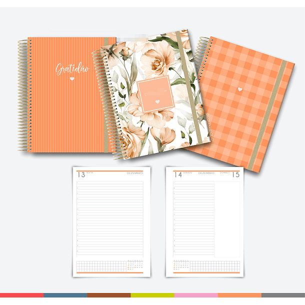 Arquivo Agenda MultiColor 2024 em Pdf  7