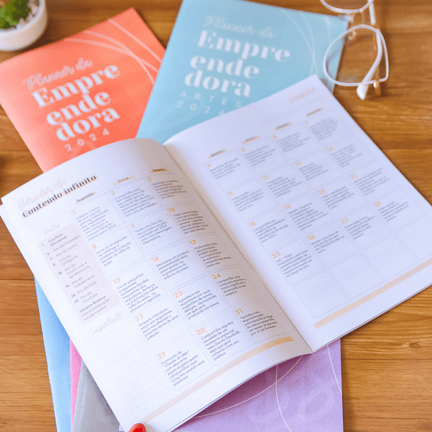 Arquivo Planner Agenda Empreendedora Artesã em Pdf 5
