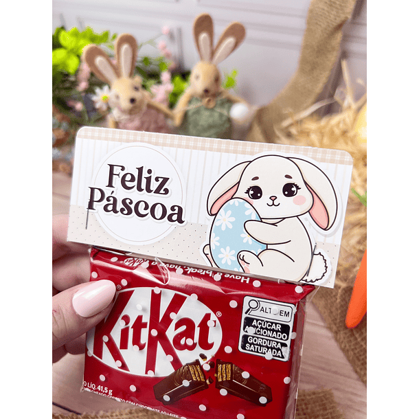 Kit Digital Páscoa Mimos Arquivos em Png  21