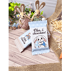 Kit Digital Páscoa Mimos Arquivos em Png  24