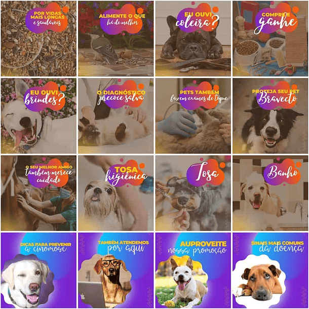 Pack Canva Pet Shop Templates Editáveis 200 Artes + Legendas 5