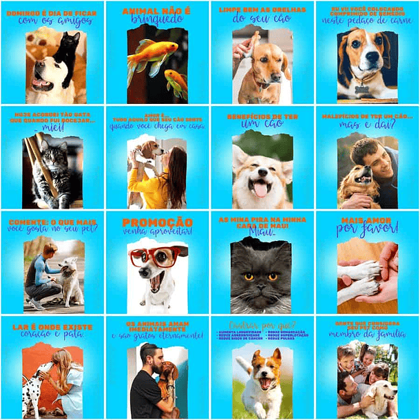 Pack Canva Pet Shop Templates Editáveis 200 Artes + Legendas 11