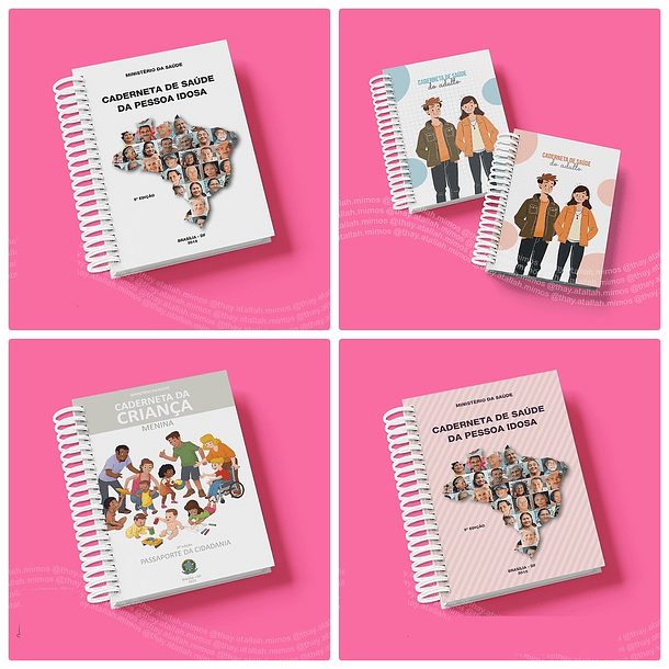 Arquivo Cadernetas da Saúde em Pdf 11