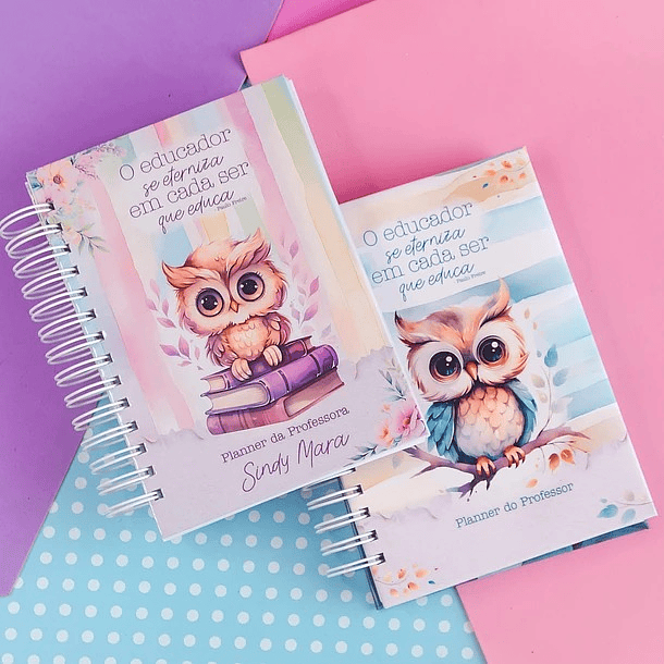 Arquivos Agenda Planner Professor 2024 em Pdf 8