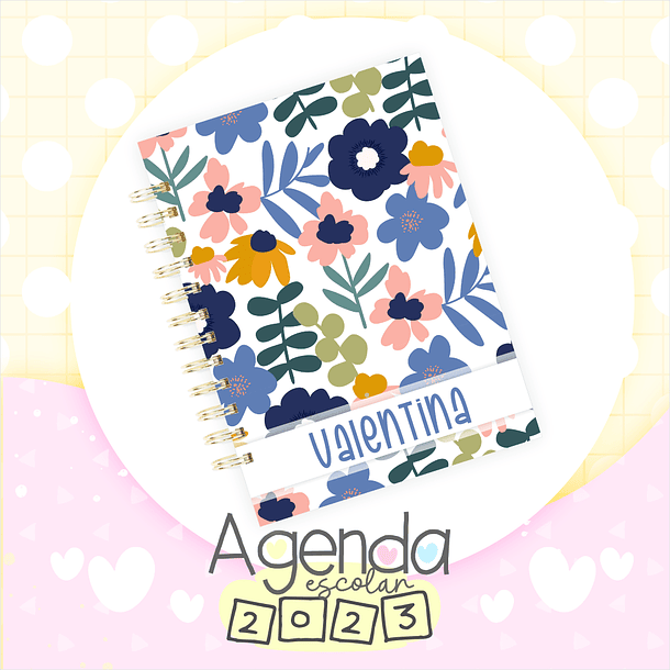 Artes para Capas Agendas Escolar Escolares em Jpg 32