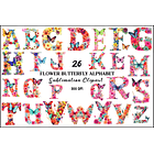 Kit Digital Alfabetos em Png  13