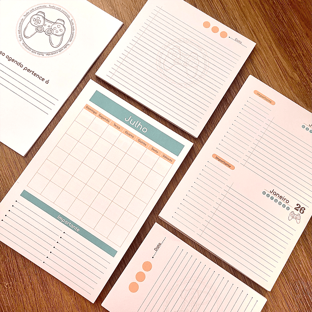 Arquivo Agenda Gamer Tudo Sob Controle 2024 em Pdf   6