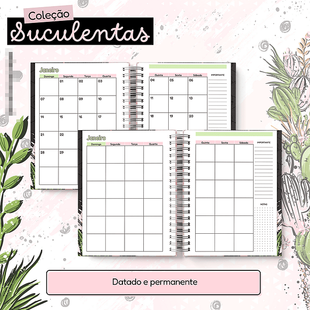 Arquivo Agenda Suculentas 2024 em Pdf 7