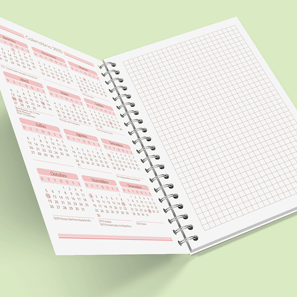 Arquivo Caderno de Controle Doméstico em Pdf  10