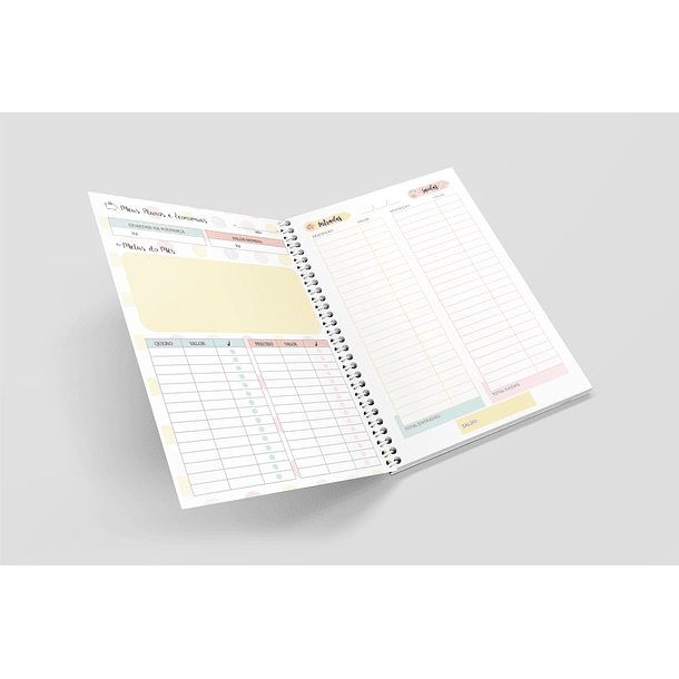 Arquivo Miolo Organizando Meu Dinheiro Financeiro em Pdf 5