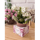 Arquivo de Corte Mimos para Clientes Luxo em Pdf 6