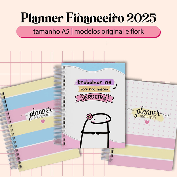 Arquivo Planner Financeiro 2025 em Pdf  2