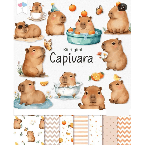 Kit Digital Capivara Png 