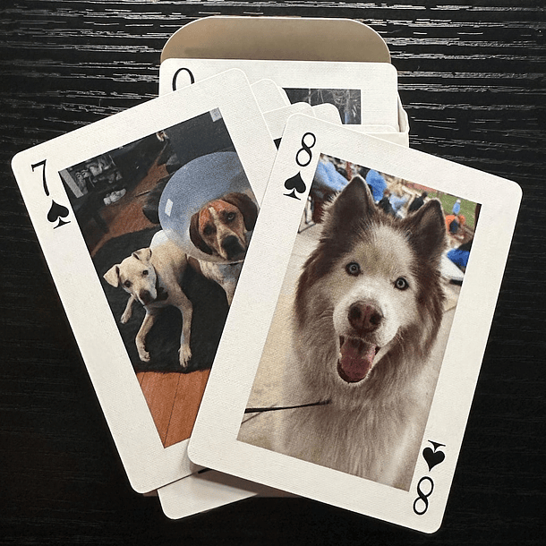 Baralho de Poker Personalizado Editavel no Canva Adicione Suas Fotos e Frases Favoritas! Crie e Personalize Agora Mesmo! 5