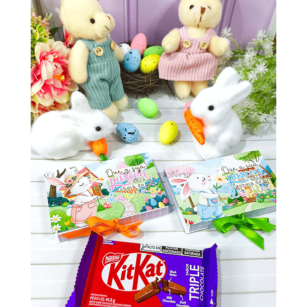 Arquivos Prontos Mimos Páscoa Coelhinhos Arquivo em Pdf 11