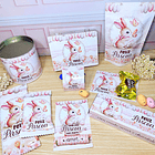 Arquivo de Corte Mimos Páscoa Clean Coelhinhos em Pdf  4