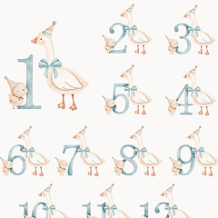 Kit Digital Sr Ganso e Pintinho Aquarela Numerais Arquivo em Png 