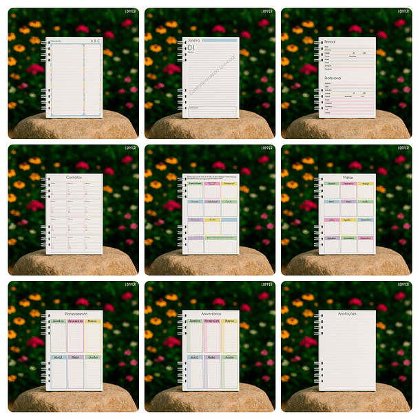 Arquivo Agenda Nossa Senhora Aparecida e Outro em Pdf  2