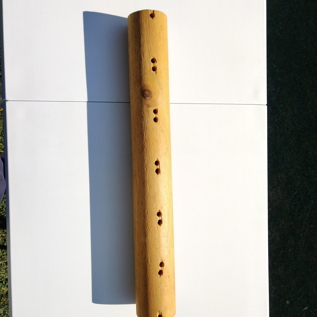 Repuestos de Rascador pedestal 1