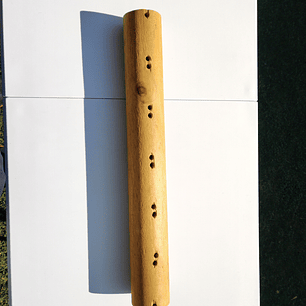 Repuestos de Rascador pedestal