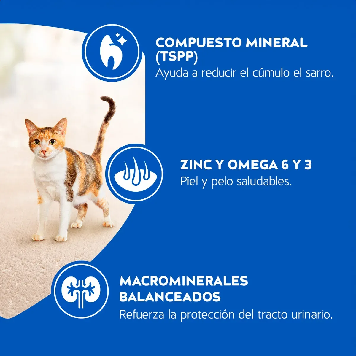 Purina Cat Chow Adultos Delimix Salmón, Carne y Pollo 10 kg – Alimento Para Gato Adulto