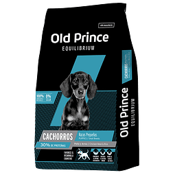 Old Prince - Small Cachorro