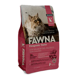 Adult Cat Sterilized