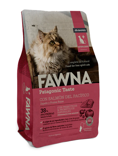 Adult Cat Sterilized