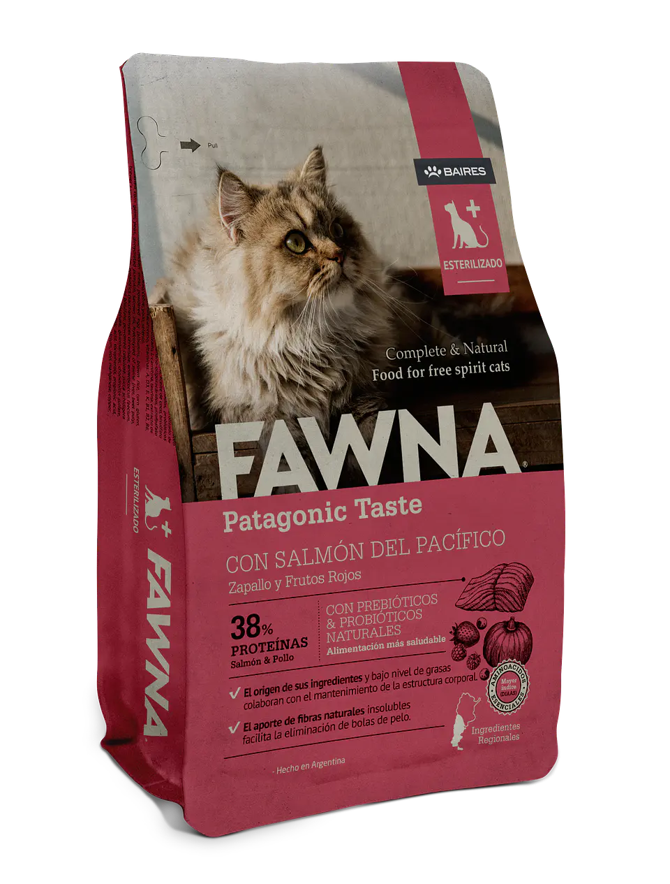 Adult Cat Sterilized 1