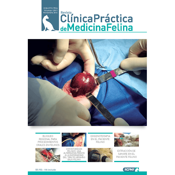 Clínica Práctica de Medicina Felina Volumen 1/ N° 3