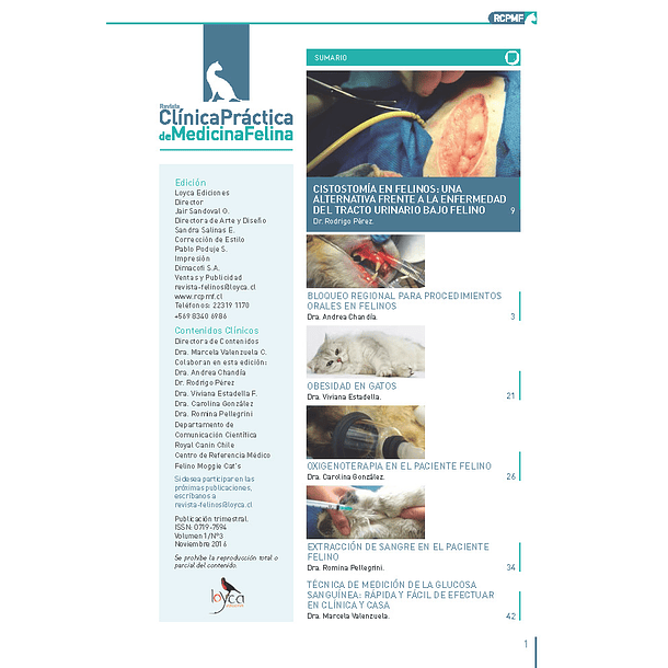 Clínica Práctica de Medicina Felina Volumen 1/ N° 3