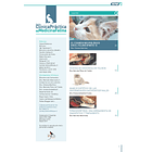 Clínica Práctica de Medicina Felina Volumen 1/ N° 4 2