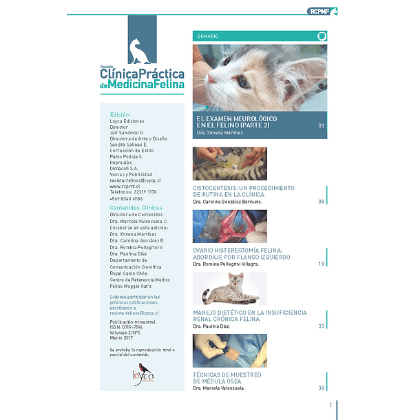 Clínica Práctica de Medicina Felina Volumen 2/ N° 5
