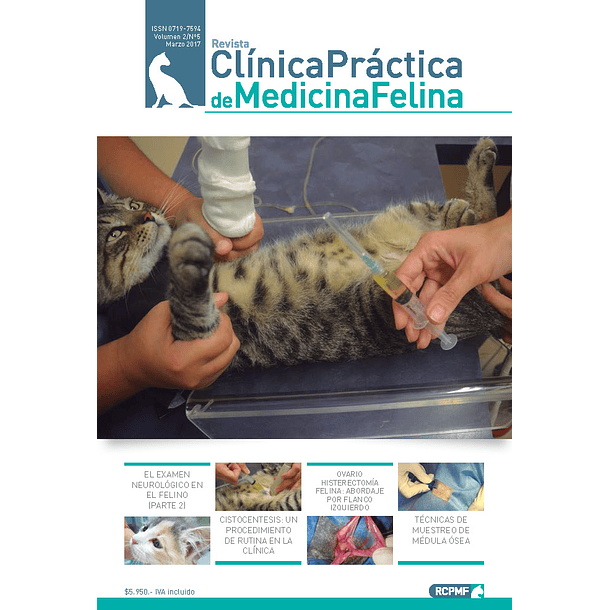 Clínica Práctica de Medicina Felina Volumen 2/ N° 5
