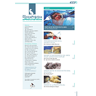 Clínica Práctica de Medicina Felina Volumen 2/ N° 6 2