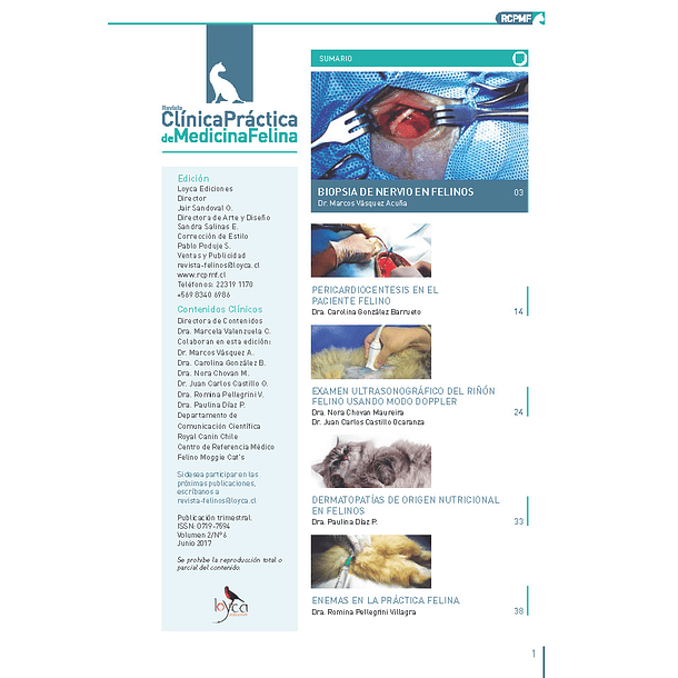 Clínica Práctica de Medicina Felina Volumen 2/ N° 6