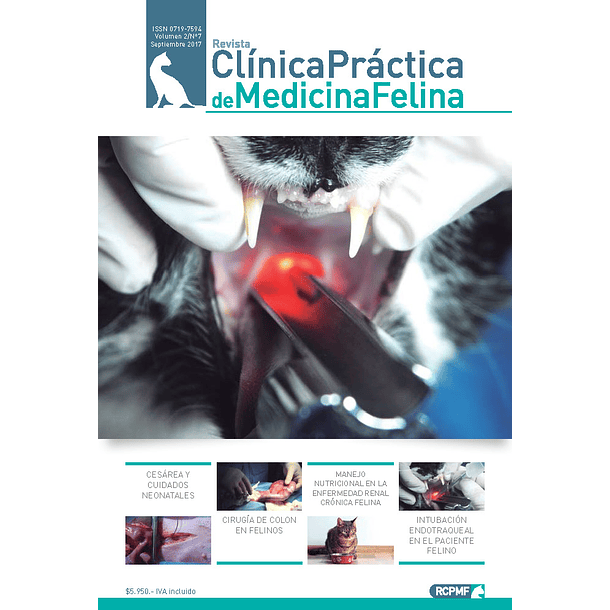 Clínica Práctica de Medicina Felina Volumen 2/ N° 7