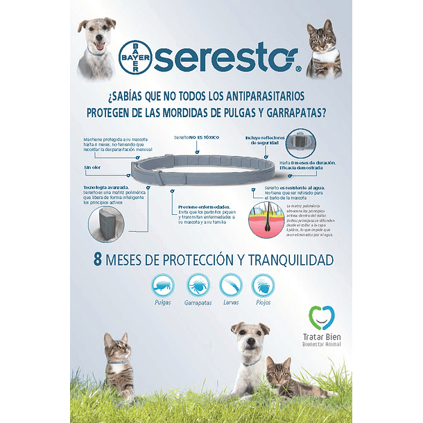 Clínica Práctica de Medicina Felina Volumen 2/ N° 7