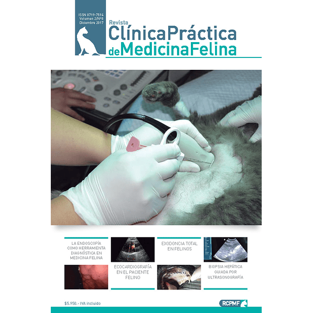 Clínica Práctica de Medicina Felina Volumen 2/ N° 8