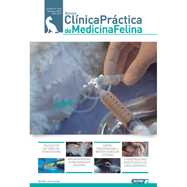 Clínica Práctica de Medicina Felina Volumen 3/ N° 9