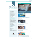 Clínica Práctica de Medicina Felina Volumen 3/ N° 9 2