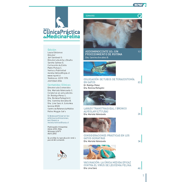 Clínica Práctica de Medicina Felina Volumen 3/ N° 9