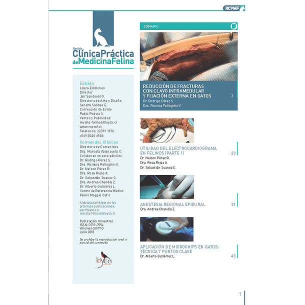 Clínica Práctica de Medicina Felina Volumen 3/ N° 10