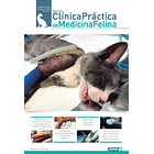 Clínica Práctica de Medicina Felina Volumen 3/ N° 10 1