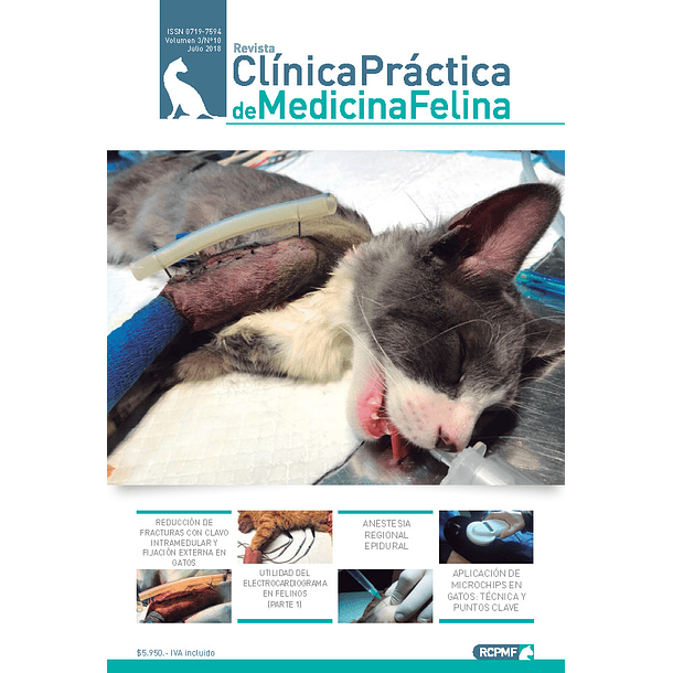 Clínica Práctica de Medicina Felina Volumen 3/ N° 10