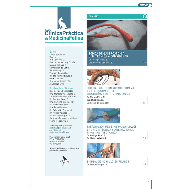 Clínica Práctica de Medicina Felina Volumen 3/ N° 11